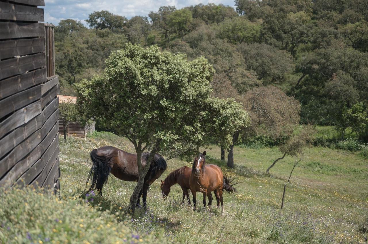 Monte Gois Country House E Spa Curvatos 외부 사진