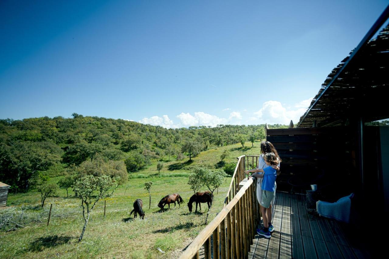 Monte Gois Country House E Spa Curvatos 외부 사진